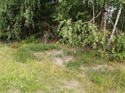 HABITAT